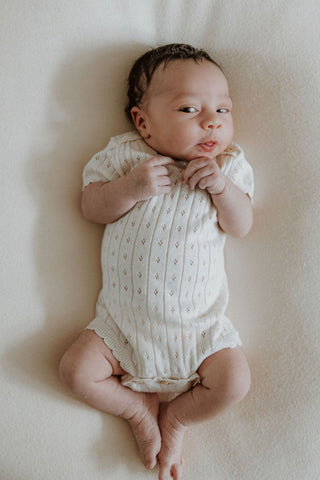 Organic Cotton Pointelle Knit Baby Bodysuit - Oat