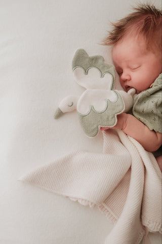 Baby cuddling a cream and sage green stork comforter 
