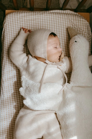 Baby in cot sleeping on a gingham sheet, wearing knitted bonnet, jumper and trousers, with cuddly plush goose